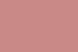 background 10 432 300x200