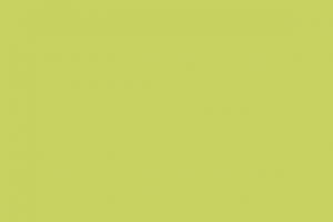 background 7 268 300x200