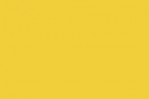 background 8 490 300x200